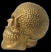 crâne doré